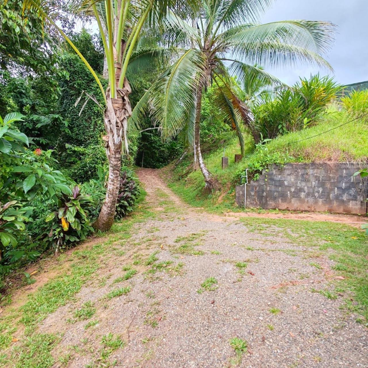 Corcovado Green Cabin & House Drakes Bay エクステリア 写真