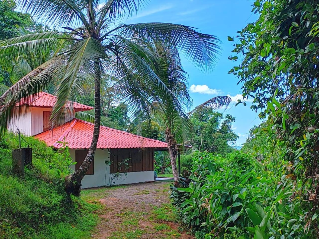 Corcovado Green Cabin & House Drakes Bay エクステリア 写真