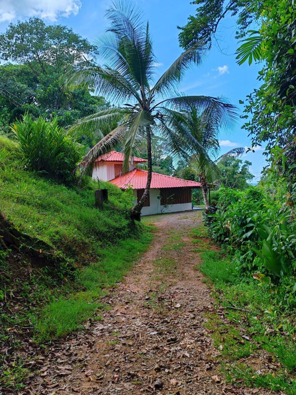 Corcovado Green Cabin & House Drakes Bay エクステリア 写真
